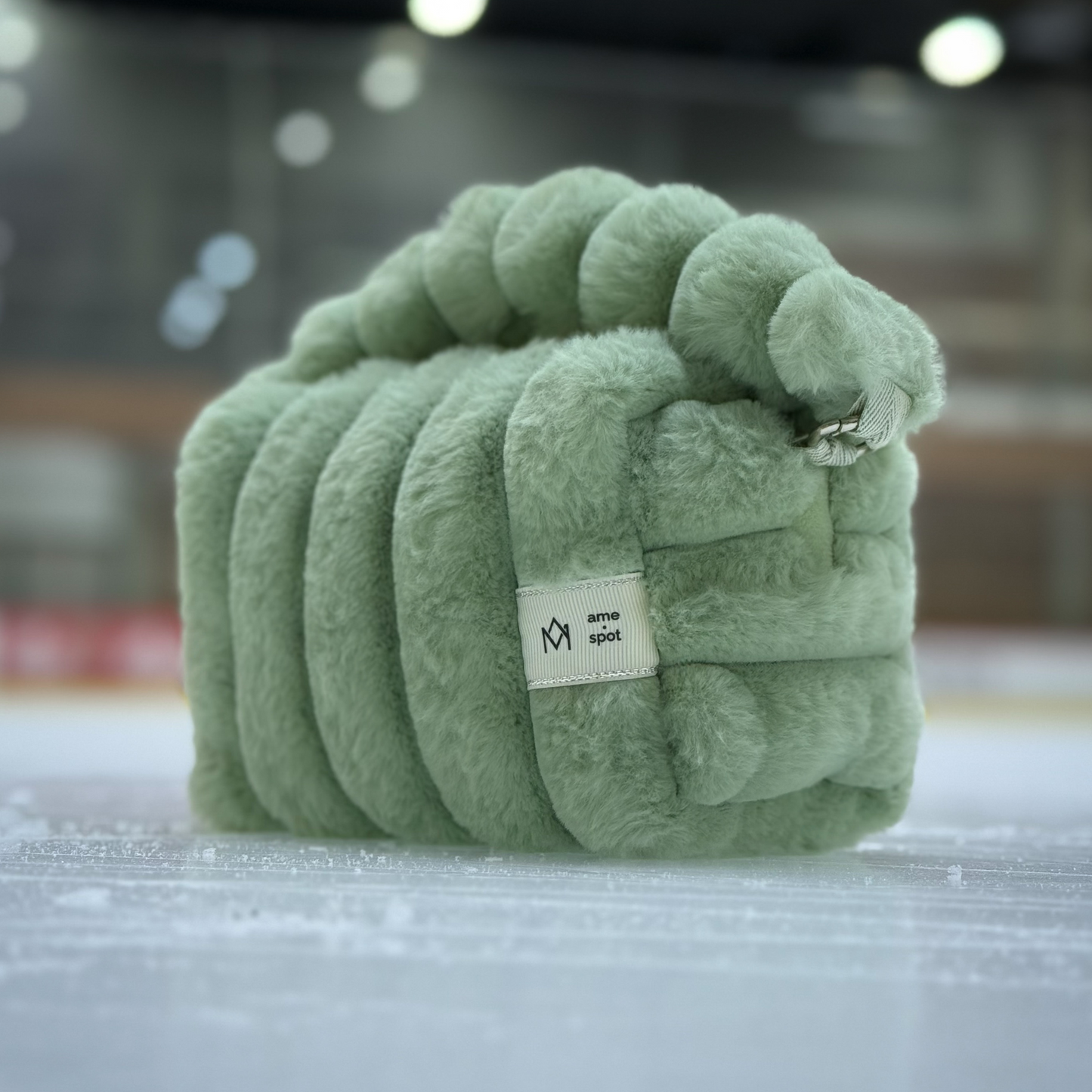 pistachio vanity bag